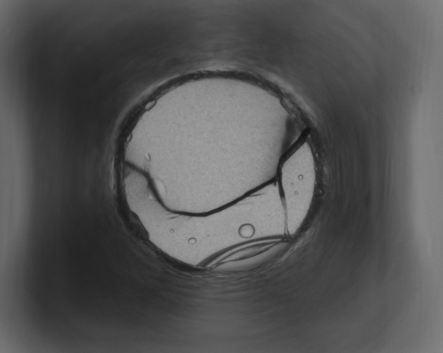 X0000100501262200807111136