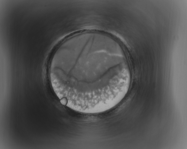 X0000100501263200807111136