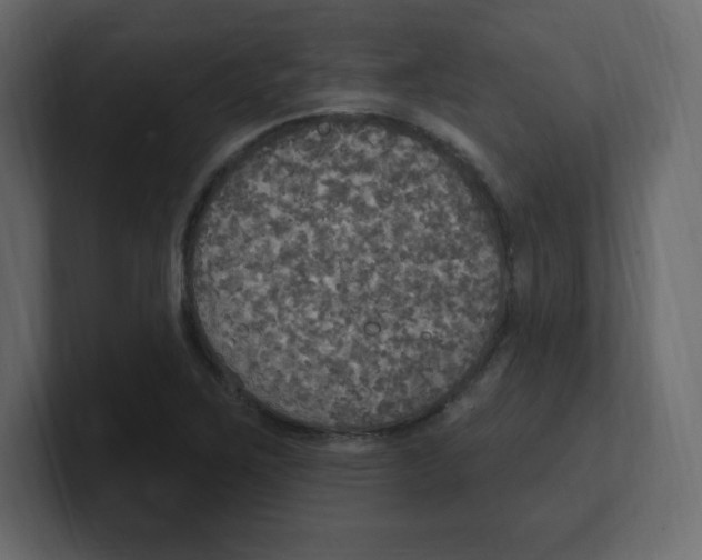 X0000100501267200807111136