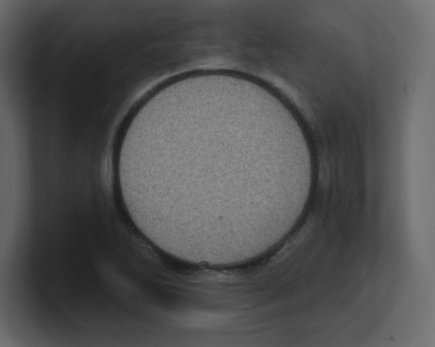 X0000100501270200807111136