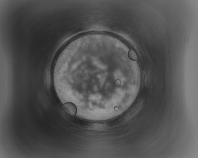 X0000100501271200807111136