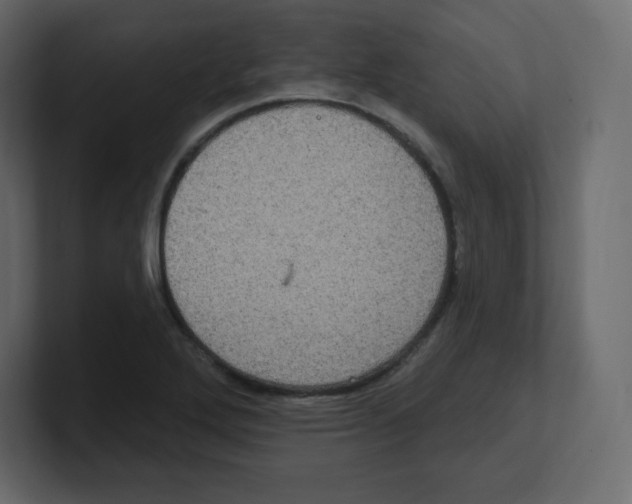 X0000100501272200807111136