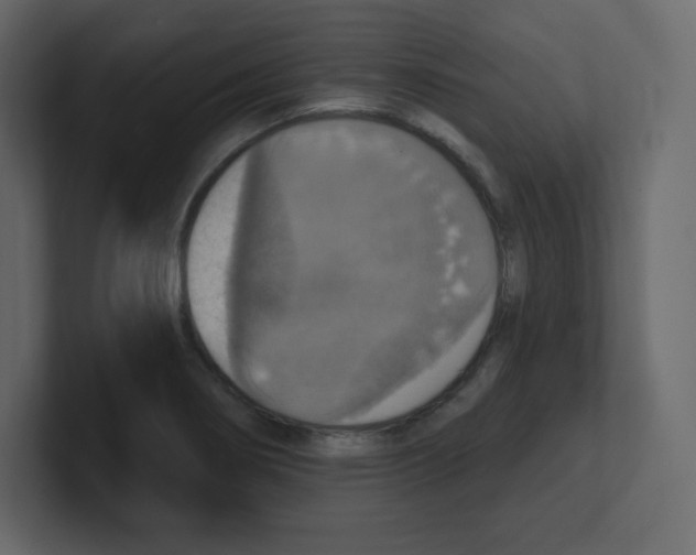 X0000100501274200807111136