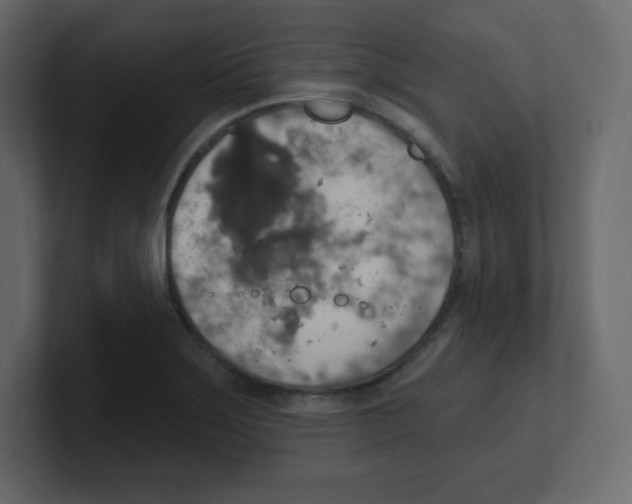 X0000100501275200807111136