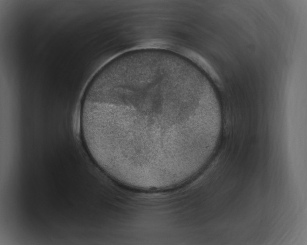 X0000100501276200807111136