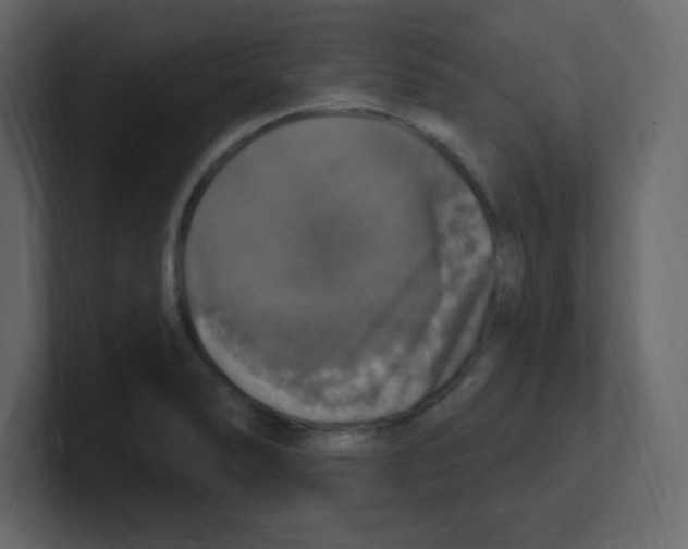 X0000100501278200807111135