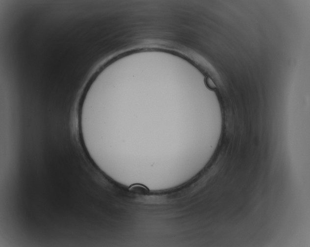 X0000100501280200807111135