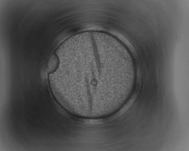 X0000100501281200807111135