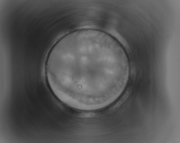 X0000100501282200807111135