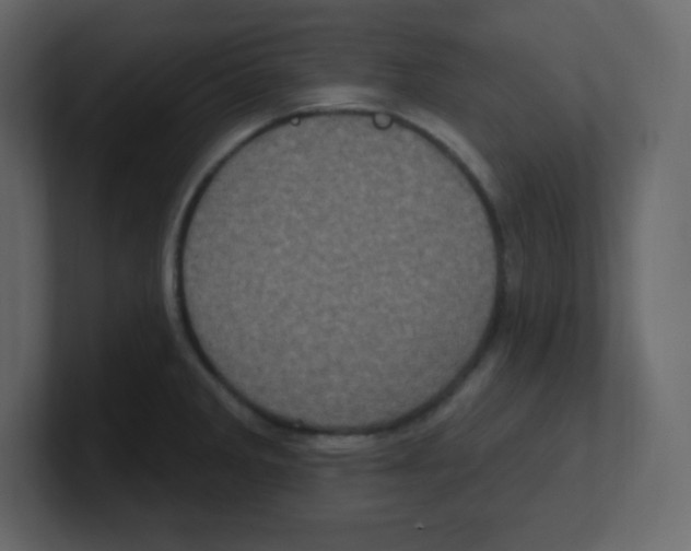 X0000100501285200807111135