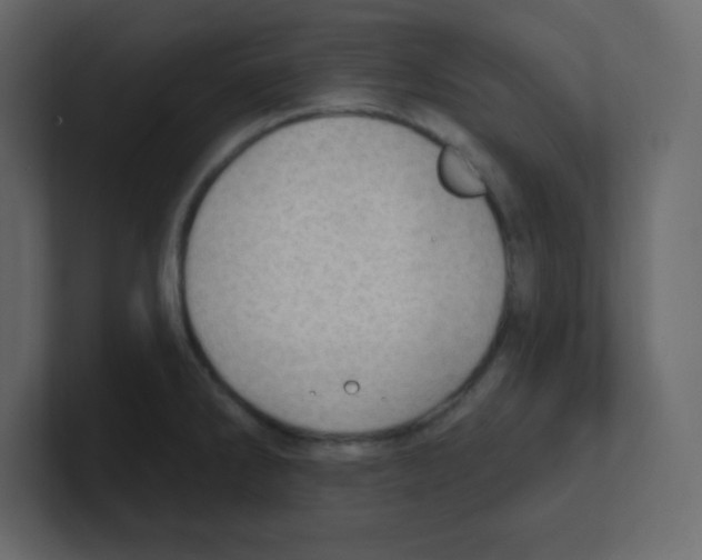 X0000100501286200807111135