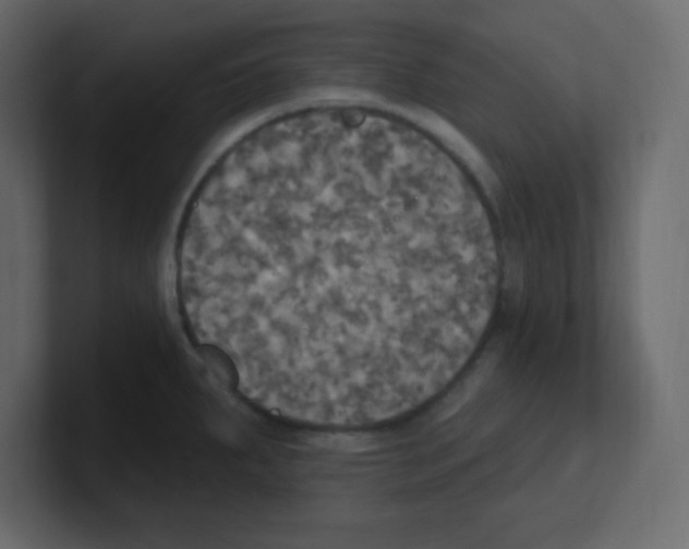 X0000100501287200807111135