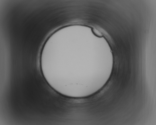 X0000100501288200807111135