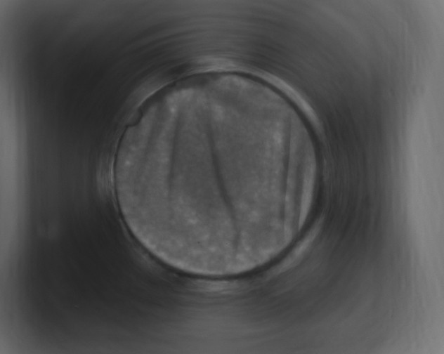 X0000100501289200807111135