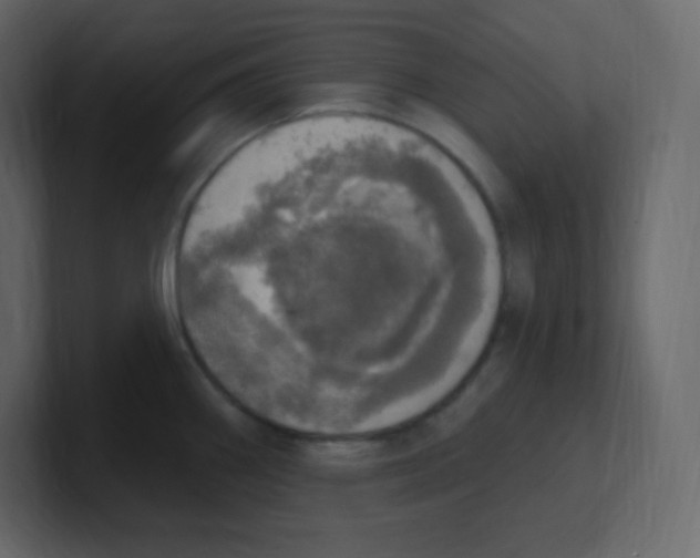 X0000100501290200807111135