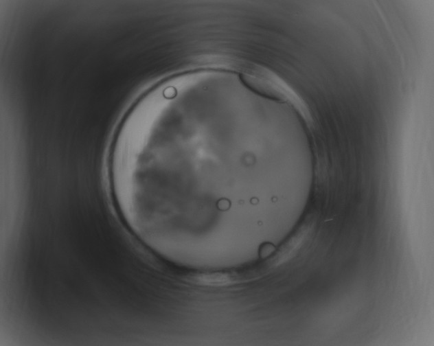 X0000100501291200807111135