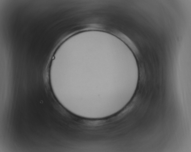 X0000100501292200807111135