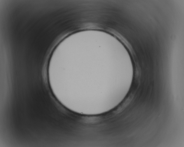 X0000100501293200807111135