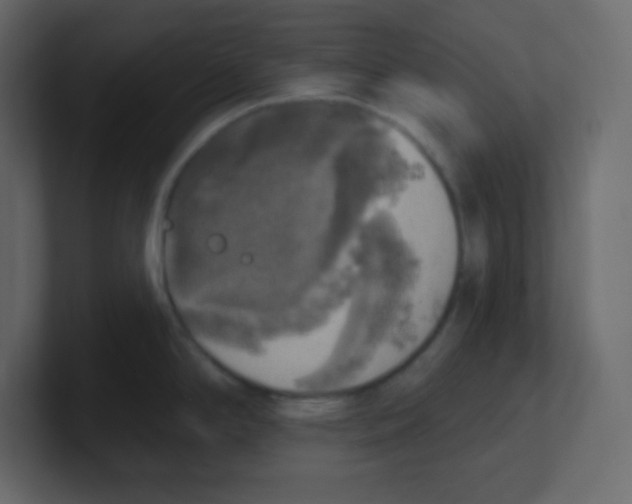 X0000100501294200807111135