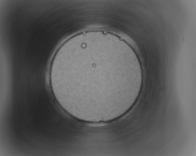 X0000100501296200807111135