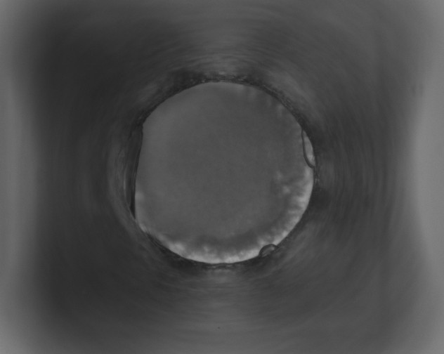 X0000100501297200807111135