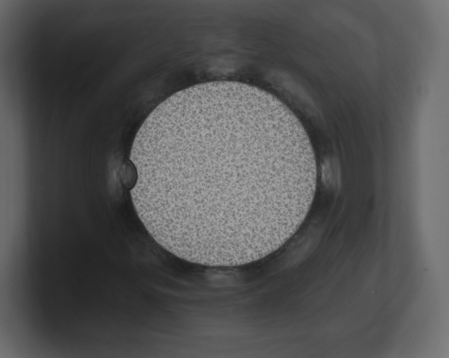 X0000100501299200807111135