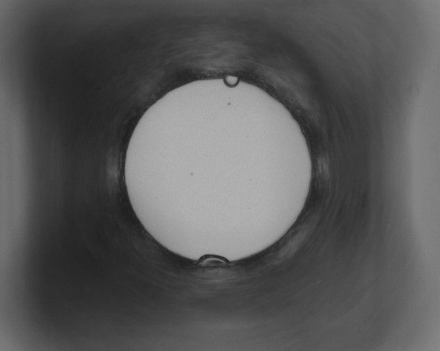 X0000100501300200807111135