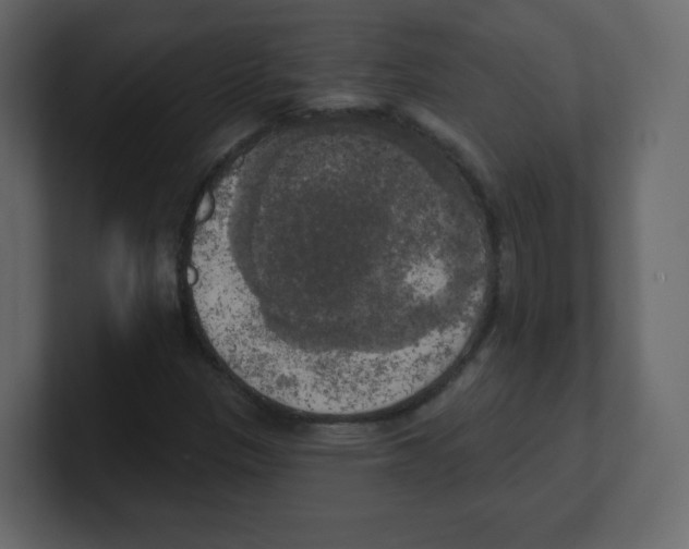 X0000100501305200807111135