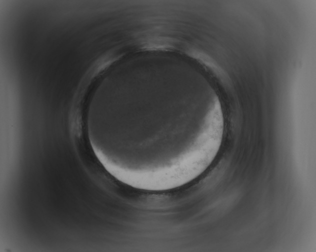 X0000100501306200807111135