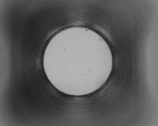 X0000100501308200807111135