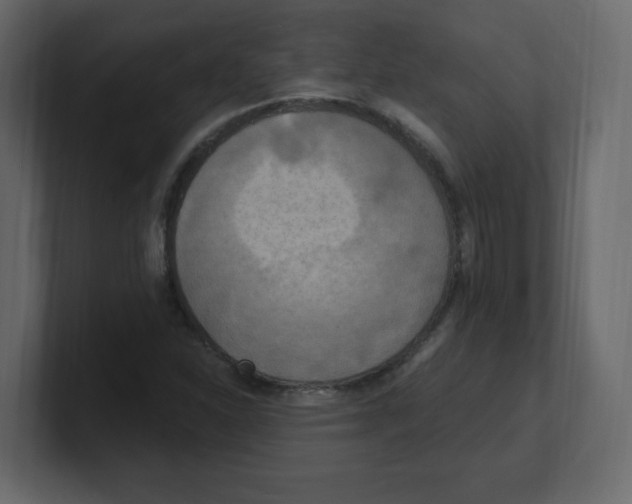 X0000100501310200807111135