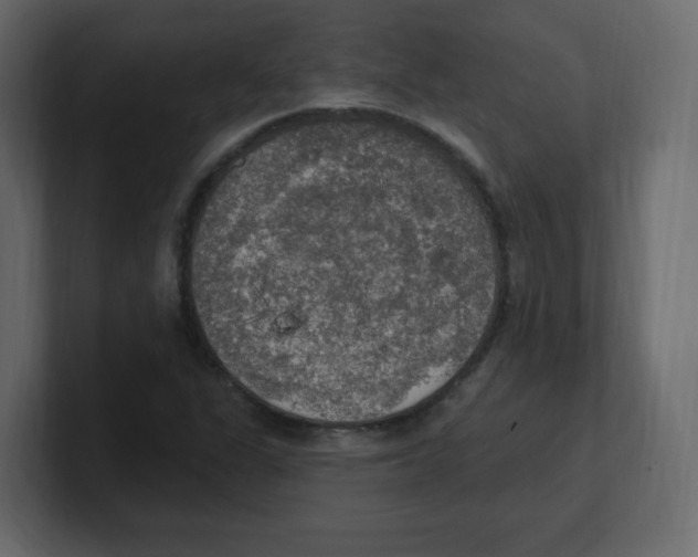 X0000100501311200807111135