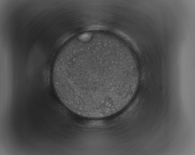 X0000100501313200807111135