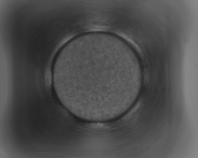 X0000100501317200807111135