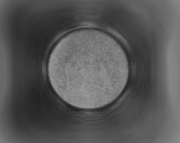 X0000100501318200807111135