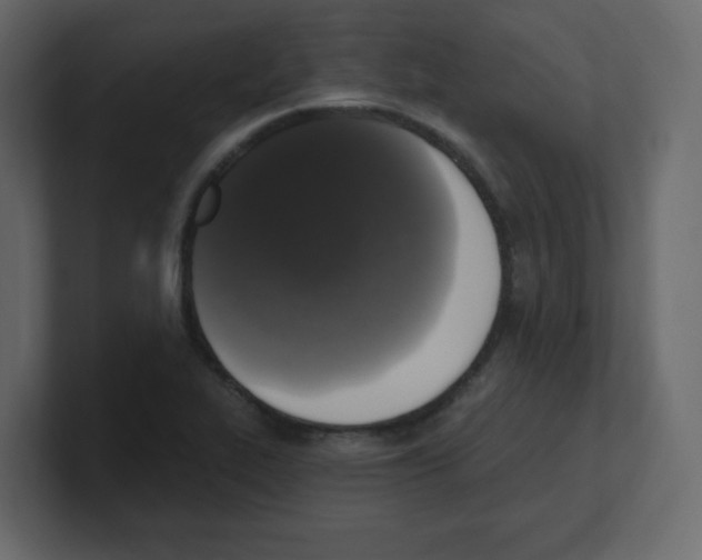 X0000100501319200807111135