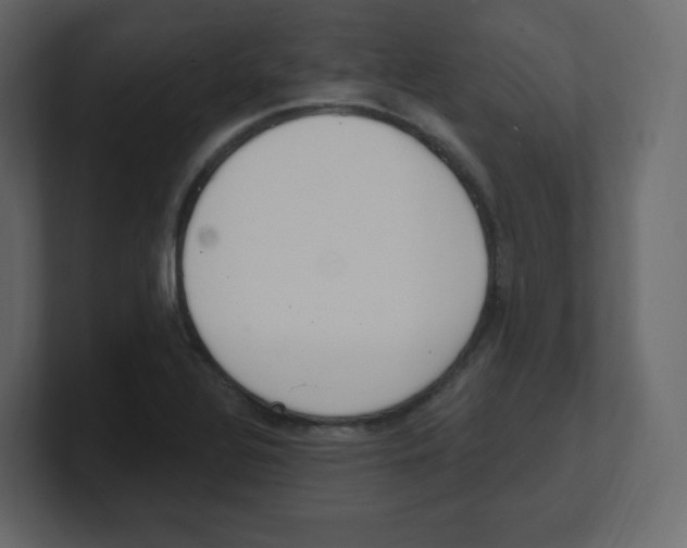 X0000100501320200807111135