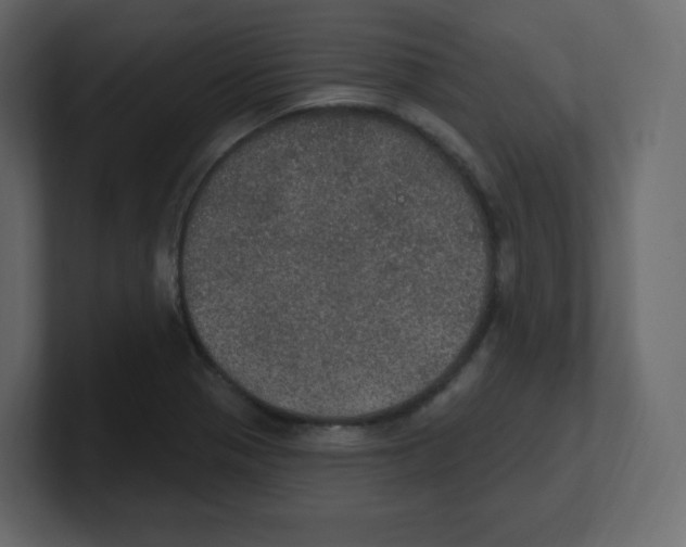 X0000100501321200807111135