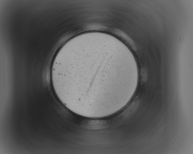 X0000100501322200807111135