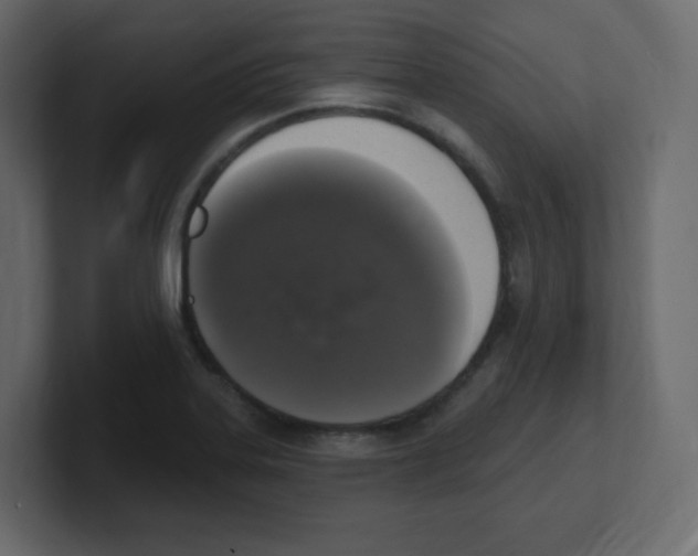 X0000100501323200807111135