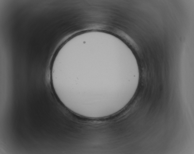 X0000100501324200807111135