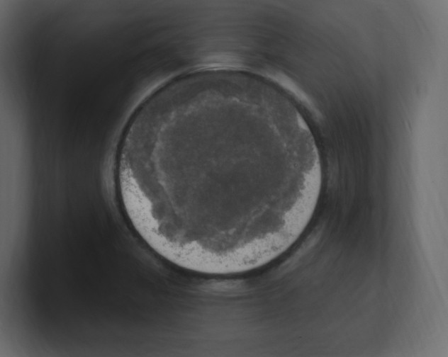 X0000100501325200807111135