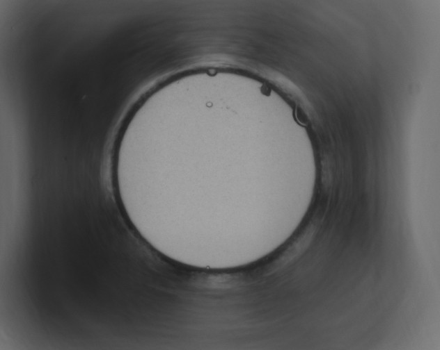 X0000100501326200807111135