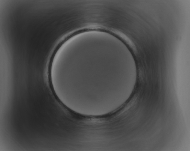 X0000100501327200807111135