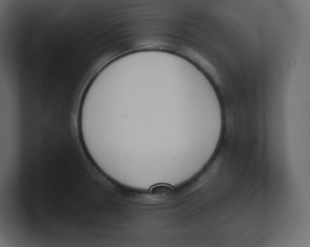 X0000100501330200807111135