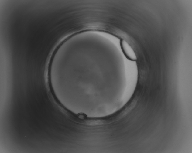 X0000100501331200807111135