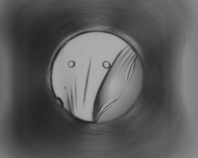 X0000100501332200807111135