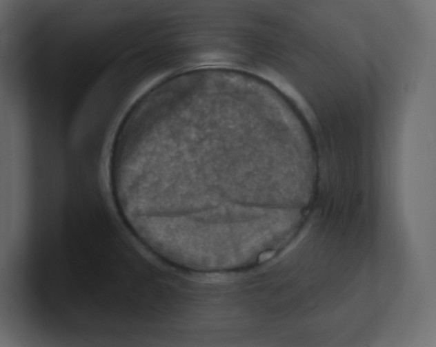 X0000100501333200807111135