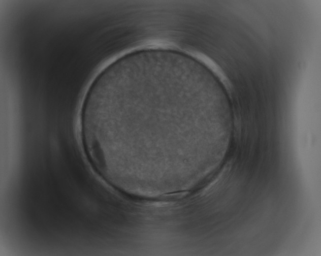 X0000100501335200807111135