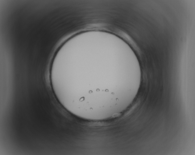 X0000100501336200807111135